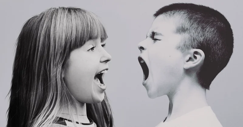 Les scripts concrets pour désamorcer une dispute en cours