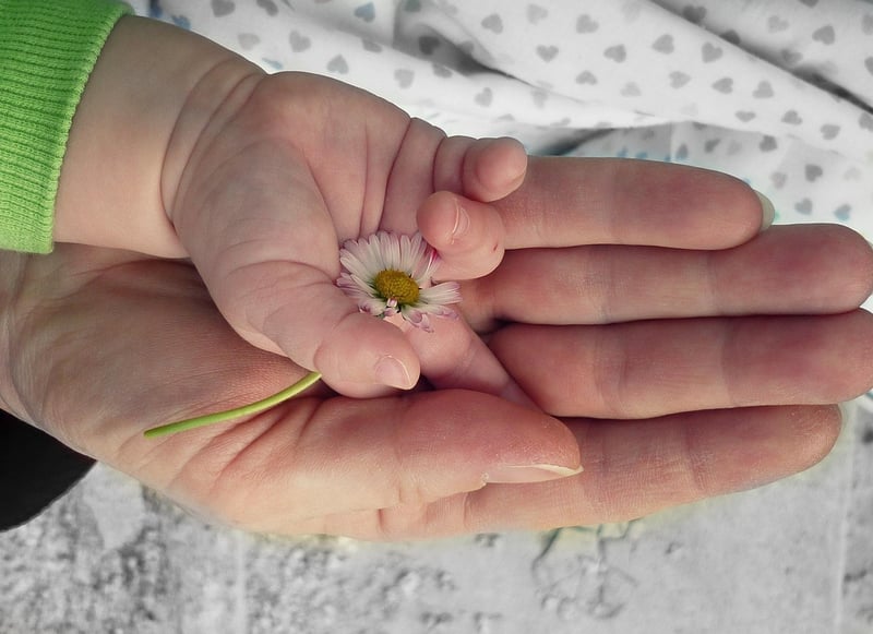 Parent solo : réussir à jongler avec toutes les responsabilités en 2026