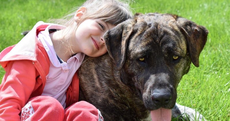 Accompagner un enfant lors d'une première rencontre avec un animal