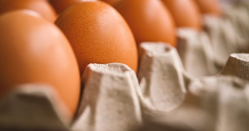 Diversification alimentaire menée par l’enfant : vos questions fréquentes